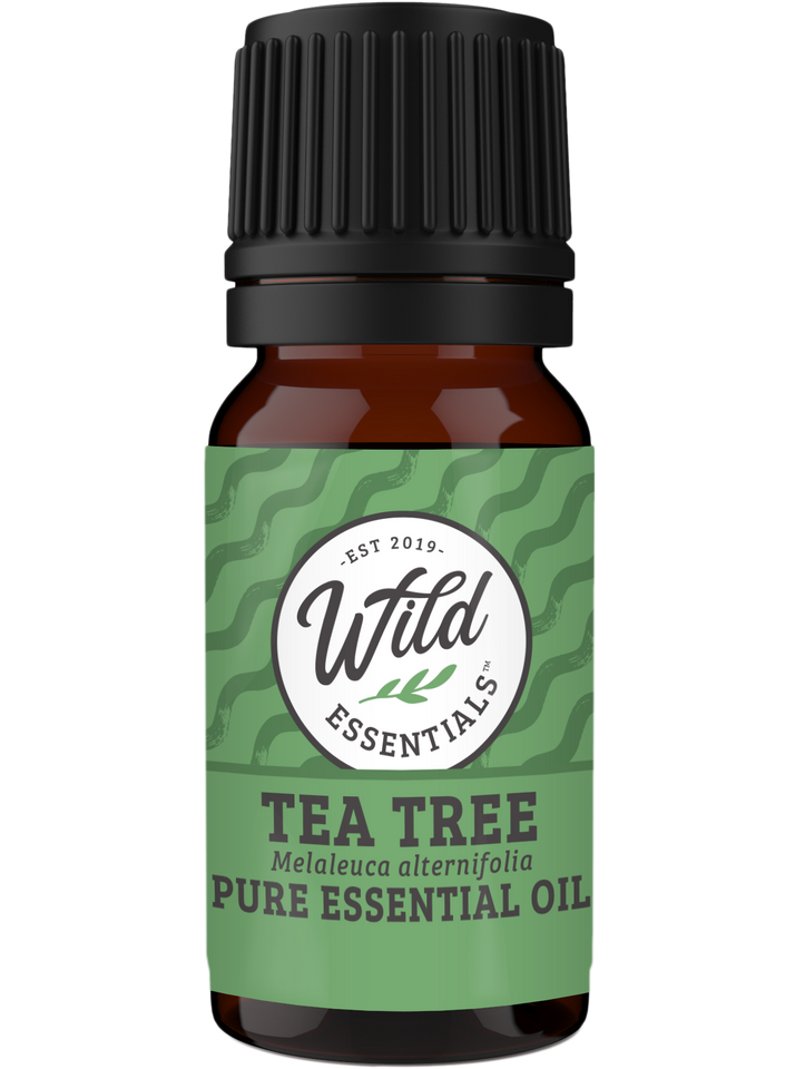 Essential Oil - Tea Tree - 10 ml Bottle
