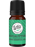 Essential Oil - Eucalyptus - 10ml Bottle